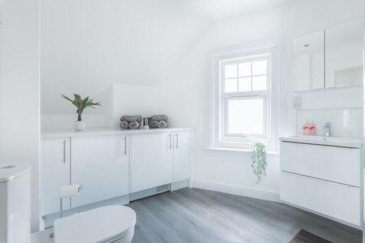 Coast View Luxury Apartment 莱姆里吉斯 外观 照片
